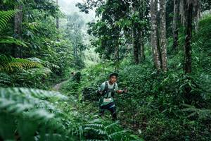 BIB: 
                            <button type="button" onclick="openModal(26359377)" class="btn btn-primary btn-sm float-right btn-popup" data-toggle="modal" data-target=".modal-high-quality">
                        <i class="fas fa-shopping-cart"></i> Add to Cart
                    </button>
                                            <button type="button" onclick="isThisMe(26359377, true)" class="btn btn-success btn-sm float-right btn-popup btn-isme hidden" data-toggle="tooltip" data-placement="bottom" title="นี่คือรูปของคุณใช่ไหม คลิกที่นี่เพื่อเอาเข้าอัลบั้ม">
                        <i class="fas fa-plus"></i> Add to album
                    </button>
                    <button type="button" onclick="isThisMe(26359377, false)" class="btn btn-warning btn-sm float-right btn-popup btn-isnotme hidden">
                        <i class="fas fa-ban"></i> Remove from album
                    </button>